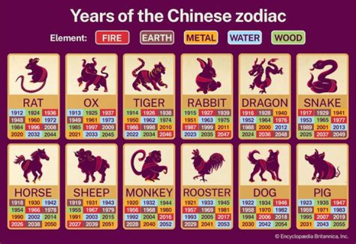 1985 Chinese Zodiac Element: Discover the Wood Snake and Its Profound Influence