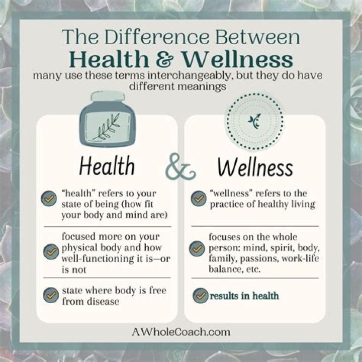 Alexis Mass: The Remarkable Journey of a Visionary in Health and Wellness