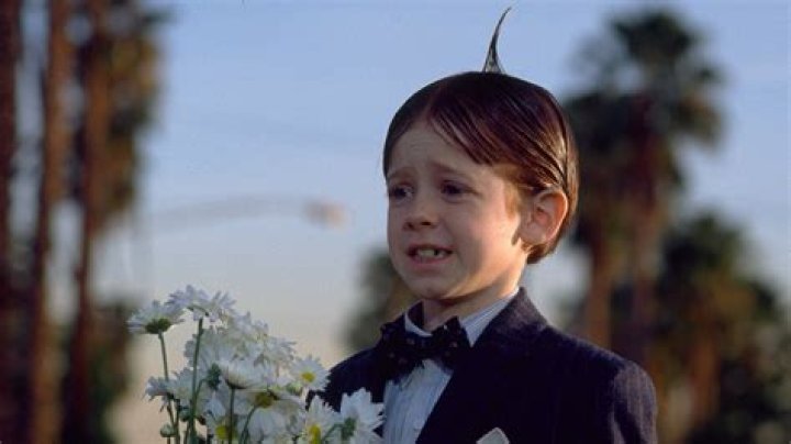 Alpha from Little Rascals: The Fascinating Journey of a Beloved Character