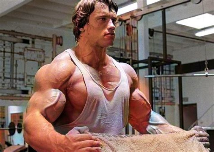 Arnold Schwarzenegger Age: The Iconic Journey of a Fitness Legend