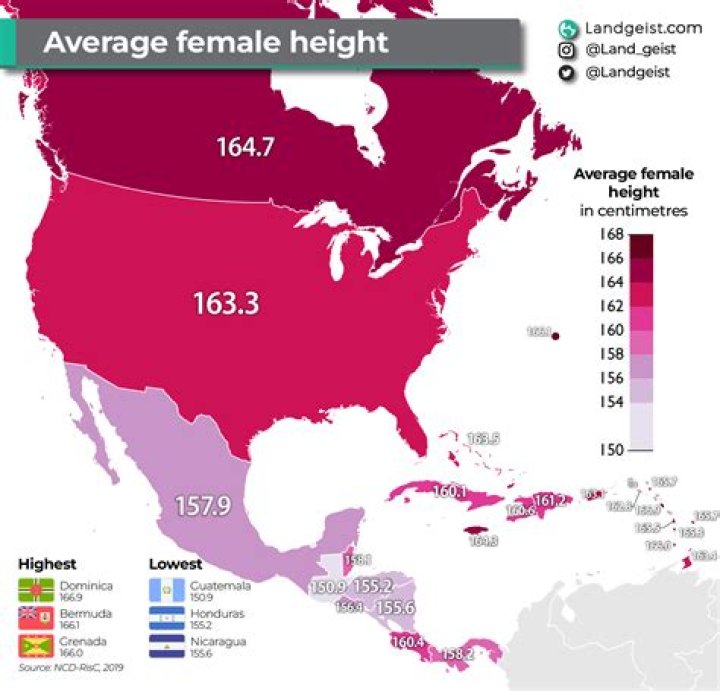 Average Height of Women in America: Understanding the Numbers and Factors