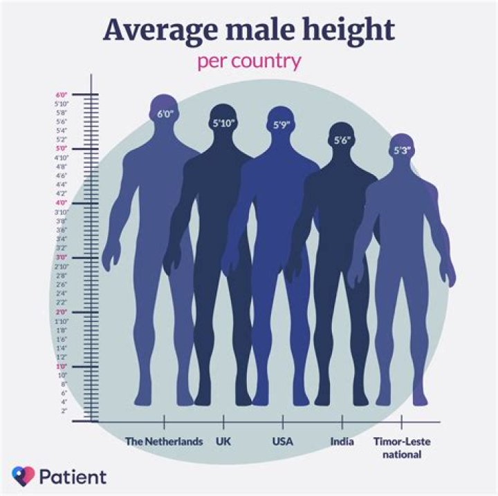 Average Women's Height: Understanding the Global Perspective