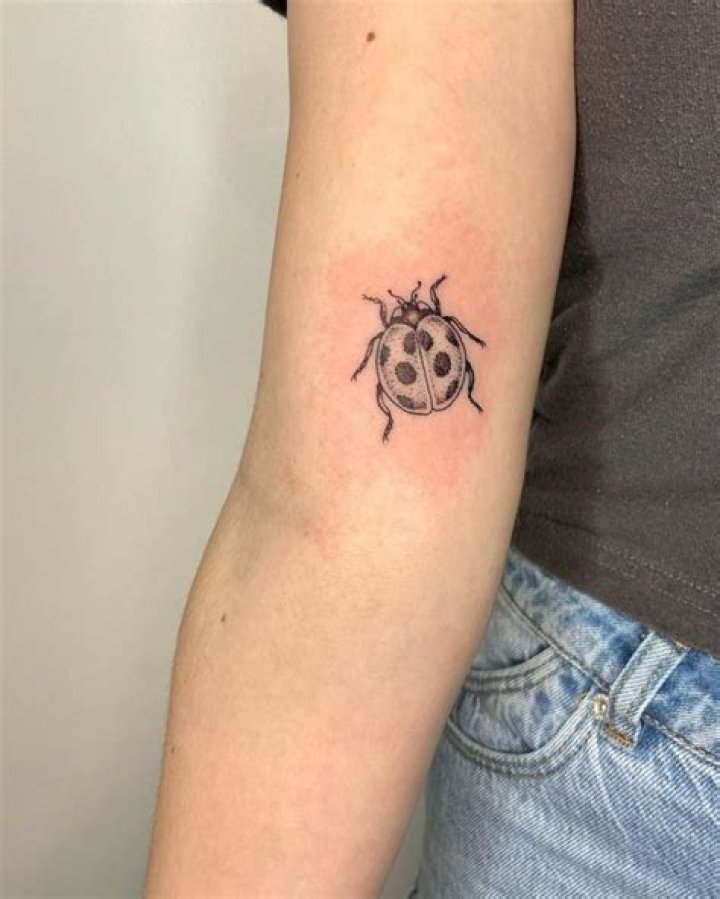 Black Ladybug Tattoo: A Symbol of Beauty, Resilience, and Individuality