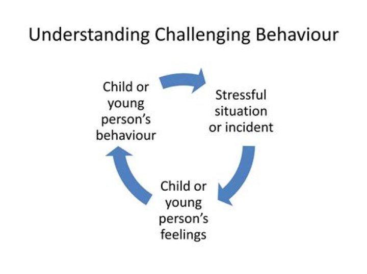 Bratty Baby: Understanding, Managing, and Transforming Challenging Behavior