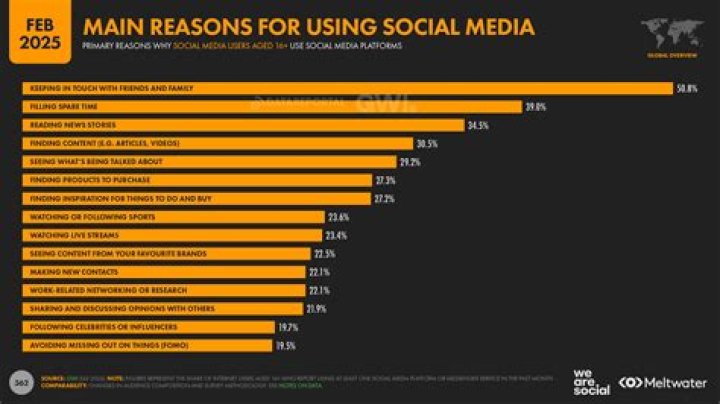 Burry on Social Media: The Rise and Influence of a Digital Phenomenon