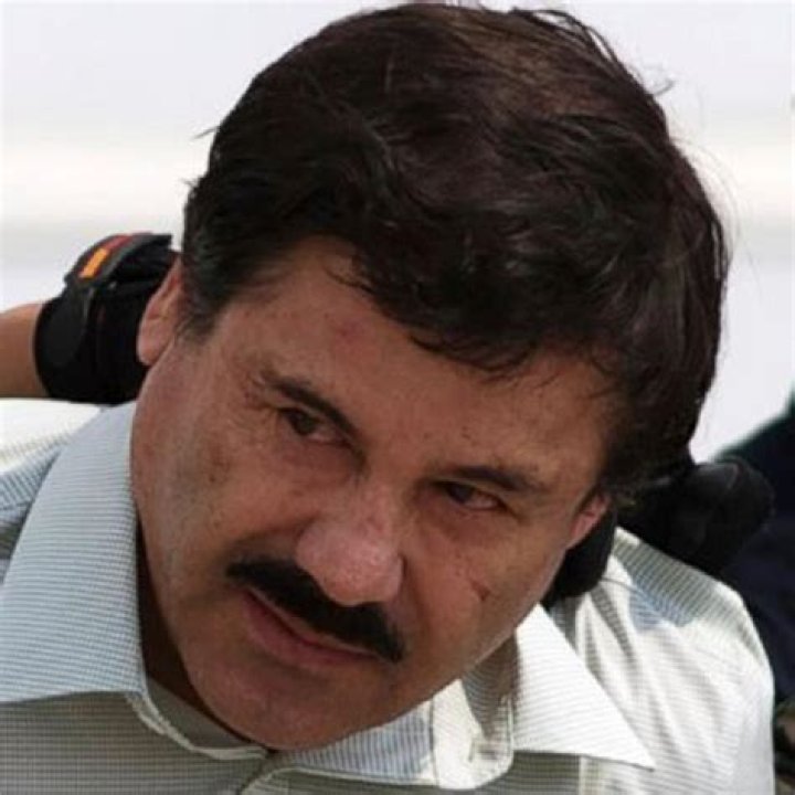 Chapo Guzman Net Worth: Unveiling the Wealth Behind the Iconic Mexican Actor