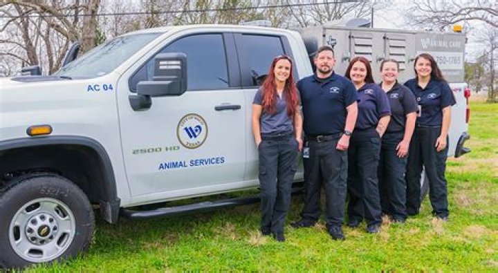 Comprehensive Guide to Animal Control in Dallas, Texas