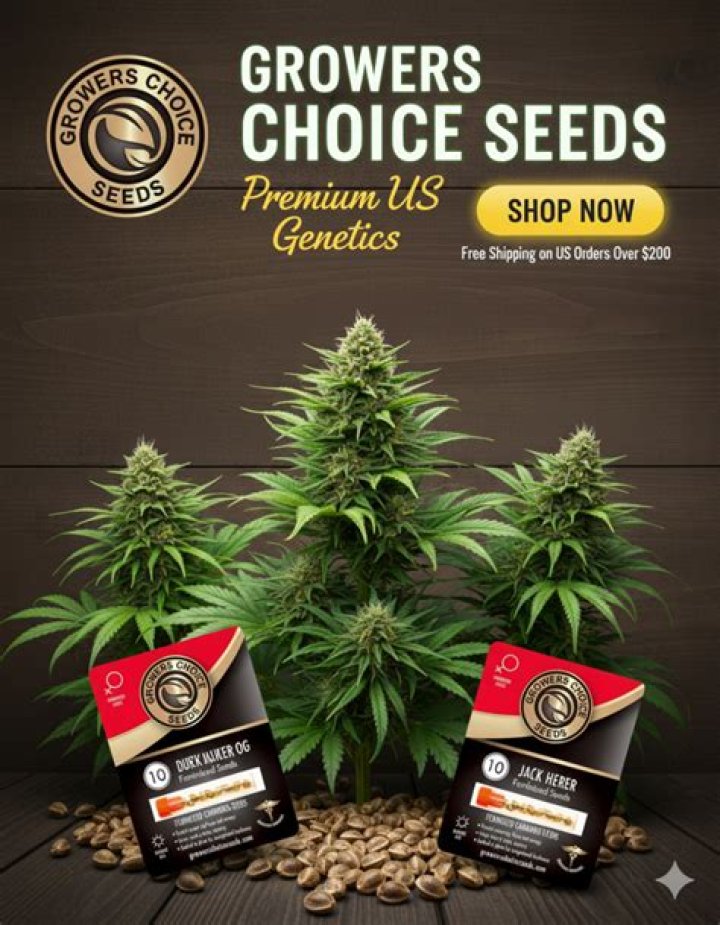 Comprehensive Guide to I Love Growing Marijuana Seed Bank: Your Trusted Source for High-Quality Seeds