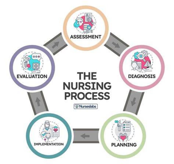 Comprehensive Guide to the Nursing Board of Florida: Everything You Need to Know