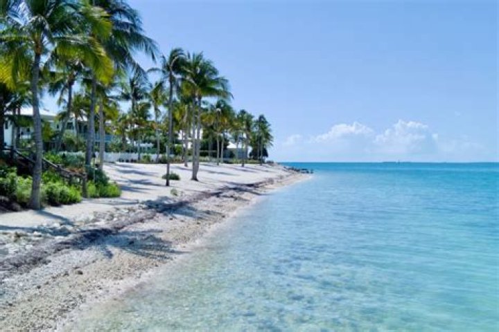 Comprehensive Guide to Weather in West Palm Beach, Florida in November