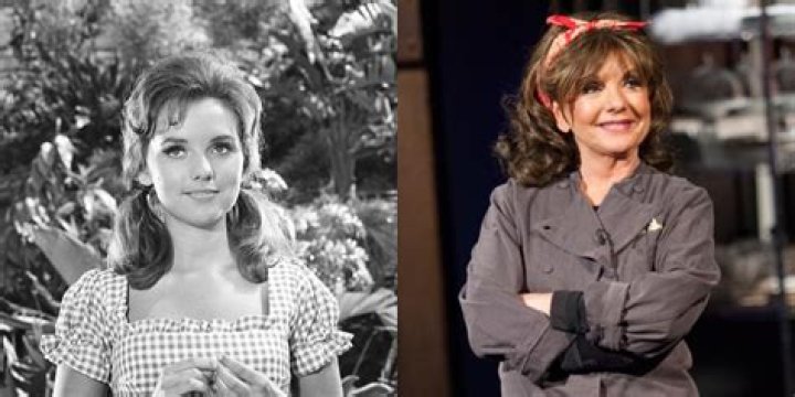 Dawn Wells TV Shows: A Comprehensive Look at Her Iconic Career