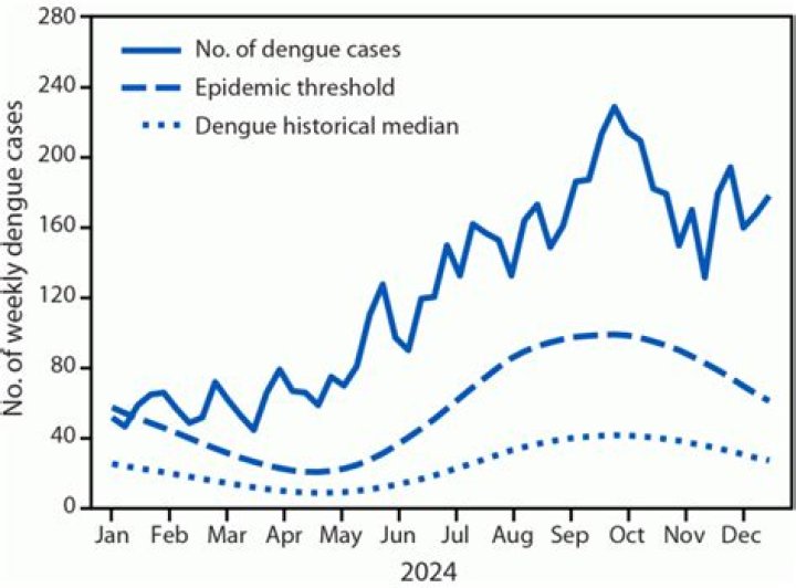 Dengue in Puerto Rico: A Comprehensive Guide
