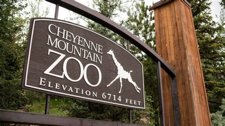 Discover the Best Cheyenne Mountain Zoo Deals: Your Ultimate Guide