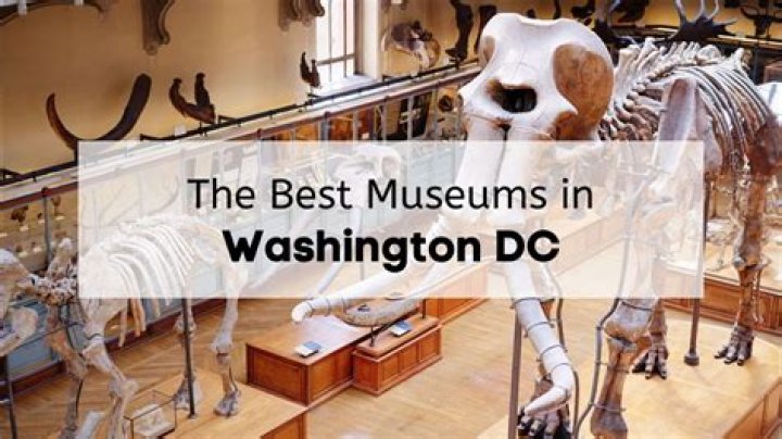 Discover the Best Free Admission Museums in Washington DC