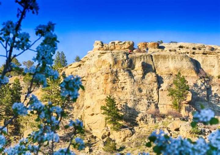 Discover the Hidden Gems of Billings, Montana: Your Ultimate Guide