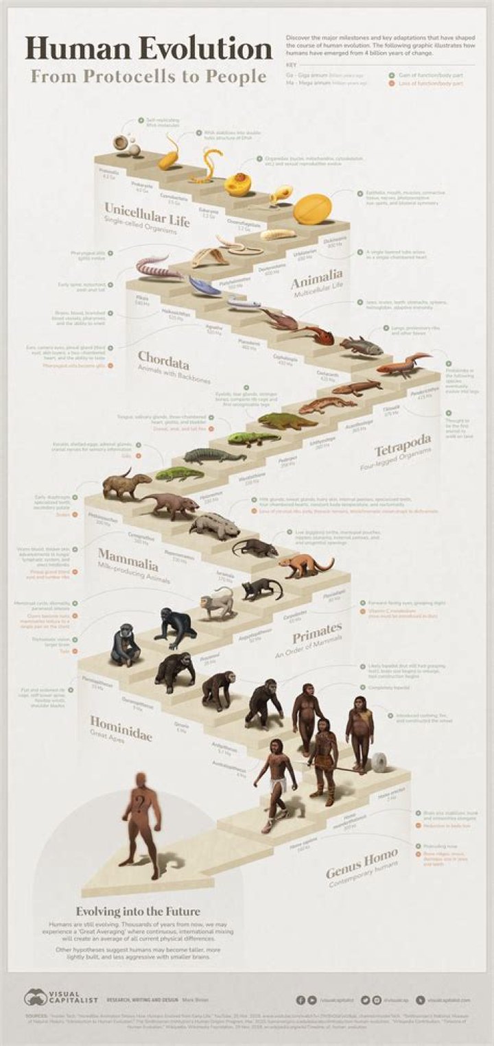 DNA Tests Are Uncovering the True Origins of Humanity: A Journey Through Science and Discovery