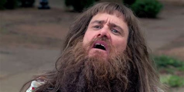 Dumb and Dumber Christmas Scene: A Hilarious Holiday Adventure