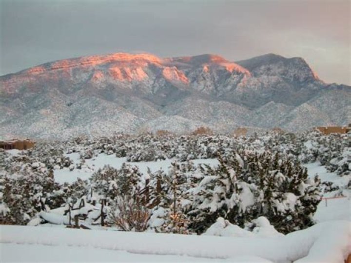Experience the Magic of Winter in Albuquerque