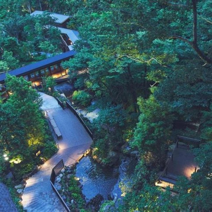 Exploring the Allure of Kowakien Tenyu Hotel: A Unique Japanese Getaway