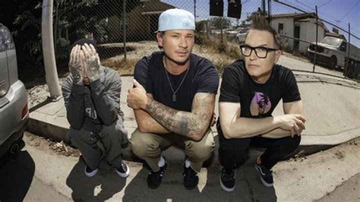 Exploring the Genre of Blink-182: A Comprehensive Guide for Fans