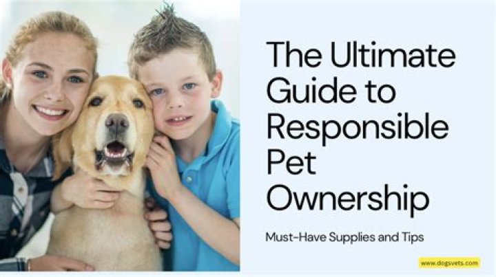 Eyes Open Puppies: A Comprehensive Guide to Responsible Ownership and Care