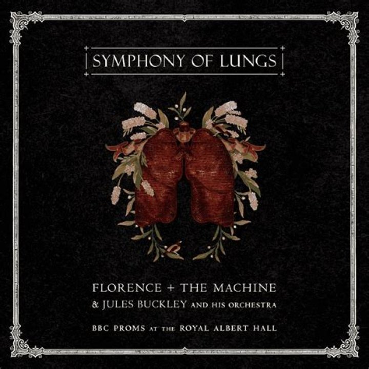 Florence and the Machine: A Journey Through Music, Artistry, and Legacy