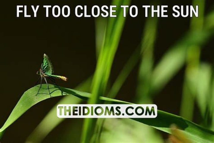 Fly Too Close to the Sun: Unveiling the Myth, Meaning, and Modern-Day Relevance
