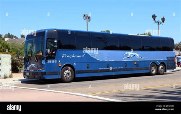 Greyhound Bus Lines: The Ultimate Guide to Reliable and Affordable Travel