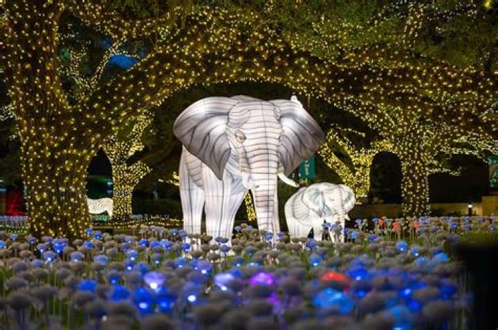 Houston Zoo Lights: A Magical Winter Wonderland Experience