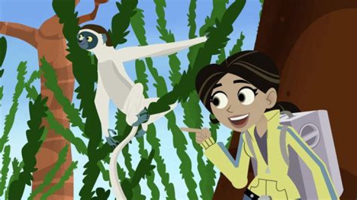 Kratt's Wild Kratts: Exploring the World of Adventure and Education