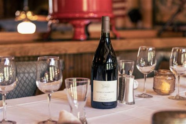 Mangy Moose Restaurant &amp; Aloon: A Unique Dining and Entertainment Experience