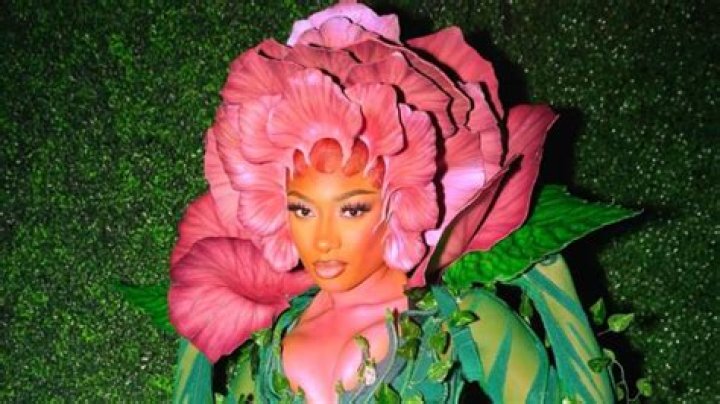 Megan Thee Stallion Costume Ideas: Unleash Your Inner Hot Girl