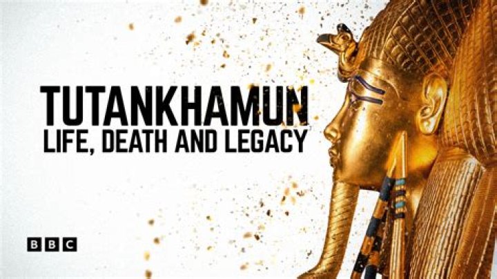 Mikechmitz Age: Unveiling the Life and Legacy of a Digital Icon