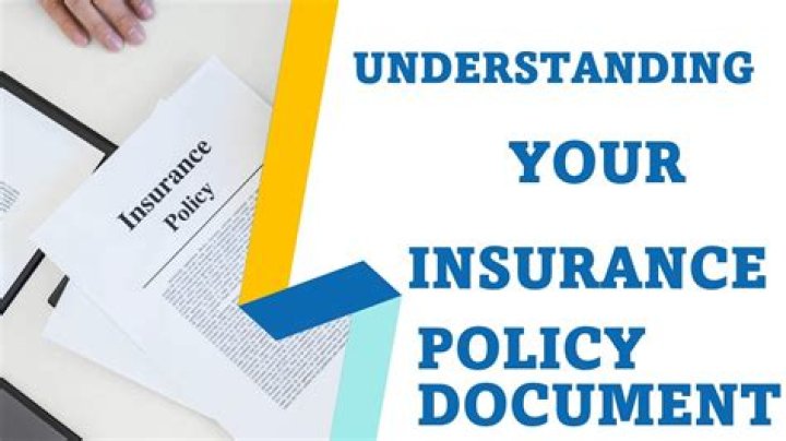 movierulz18plus: The Ultimate Guide to Understanding Its Impact and Risks