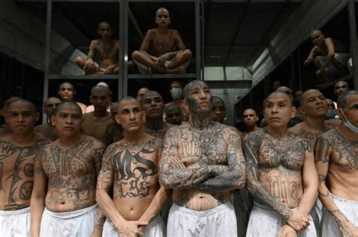 MS13 Gang Map: Understanding the Geography and Influence of One of the World's Most Notorious Gangs