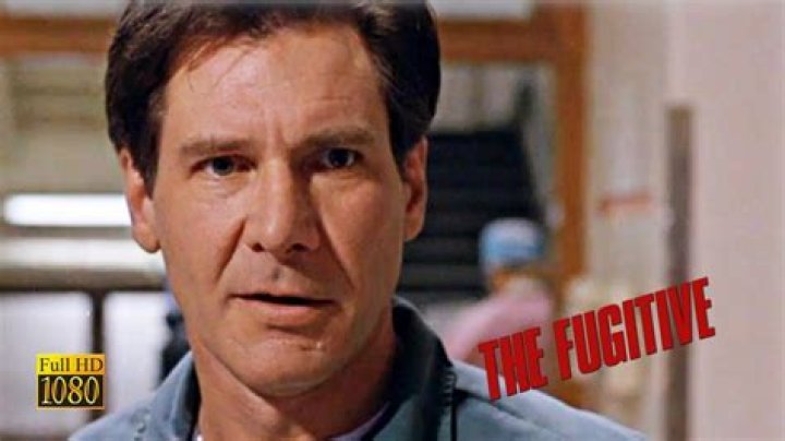 Neil Flynn Fugitive: The Untold Story of a Man on the Run