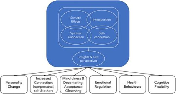 Nyi vs TB: Understanding the Differences and Implications for Health