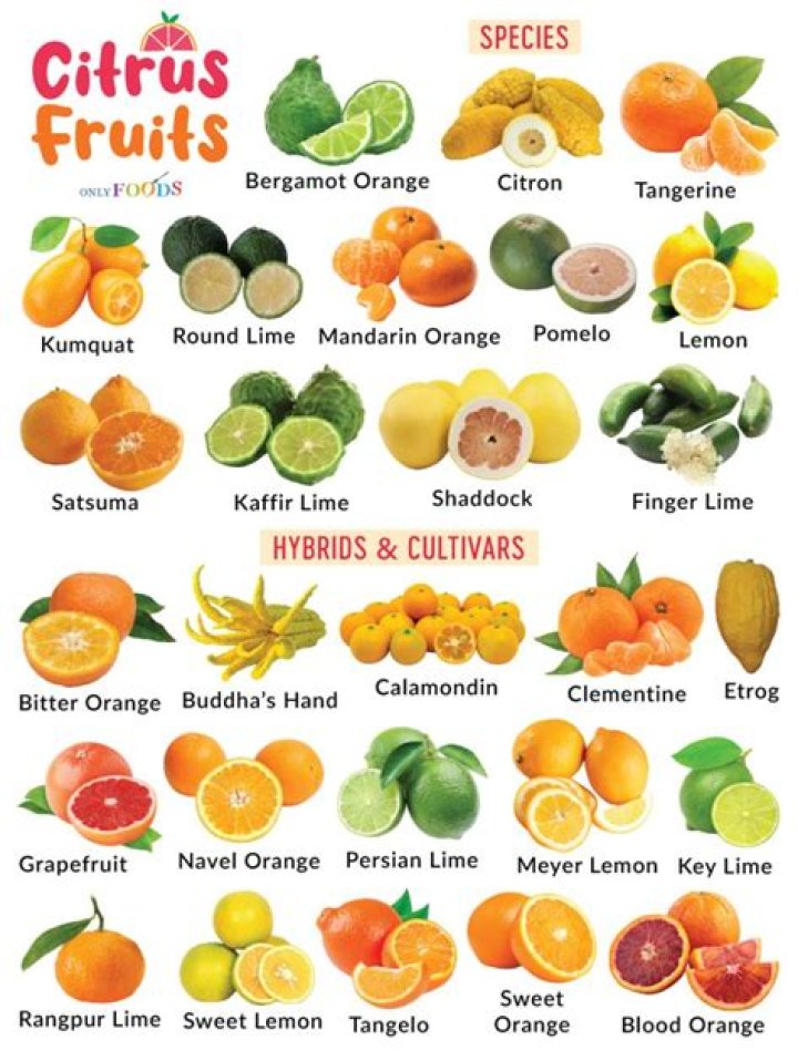 Pittman Fruit: A Comprehensive Guide to the Juicy World of Citrus Delights