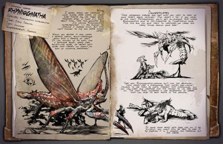 Rhyniognatha Fossil: Unveiling the Secrets of Earth's Earliest Insects