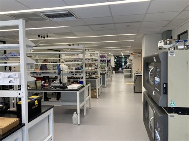 Santa Cruz Biotech: Leading Innovations in Biotechnology Research