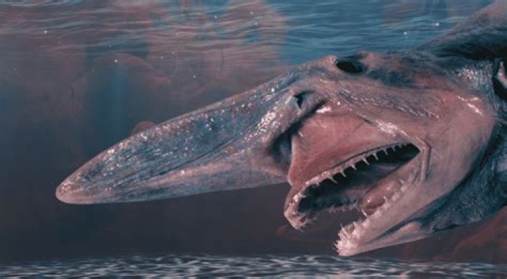 Scariest Creature in the World: Unveiling the Most Terrifying Beings on Earth