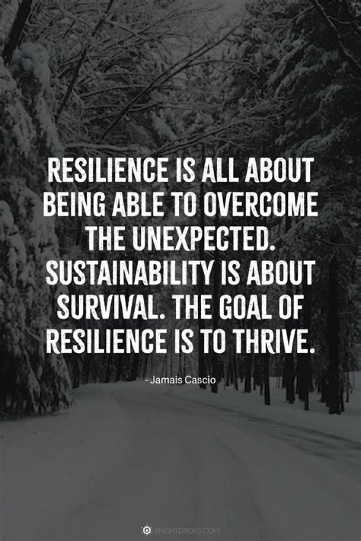 Sherri Papini Now: The Inspiring Journey of Survival and Resilience