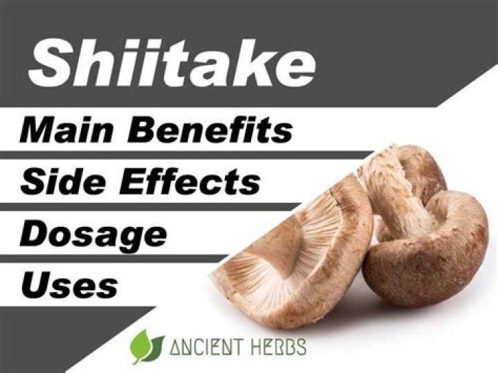 Shiitake Mushroom Benefits: Unlocking the Power of Nature's Superfood