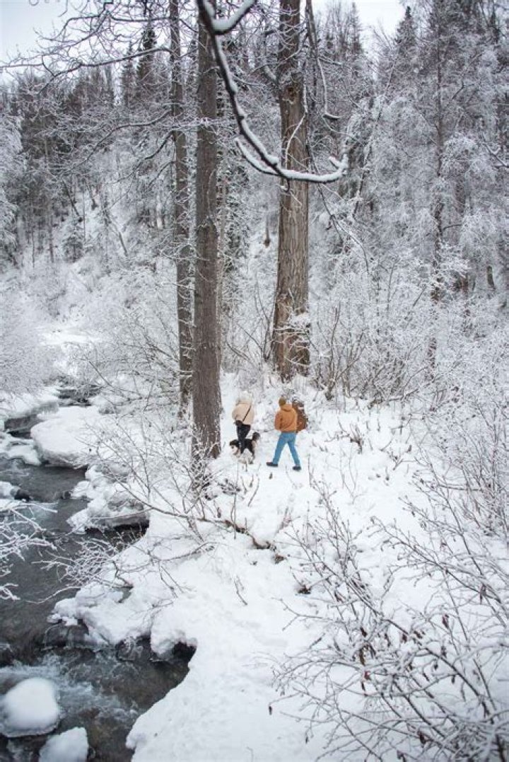 Snowboarding in Anchorage Alaska: A Complete Guide for Thrilling Winter Adventures