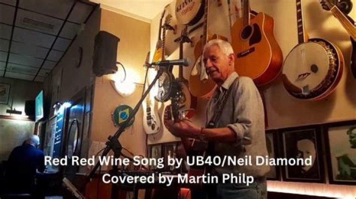 Song Red Red Wine Original: A Comprehensive Dive into Its Origins and Legacy