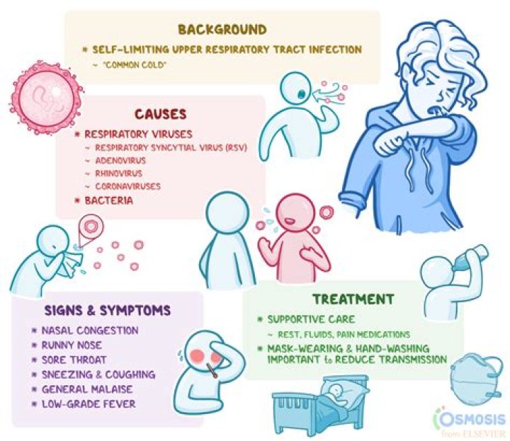 Tummy Ache and Cough: Causes, Symptoms, Treatments, and Prevention