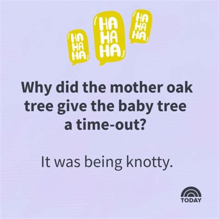 Why Humorous Mom Jokes Are the Key to Everyday Laughter