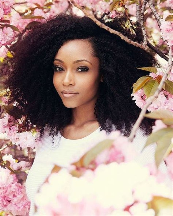 Yaya DaCosta Hairstyles: A Comprehensive Guide to Her Stunning Hair Looks