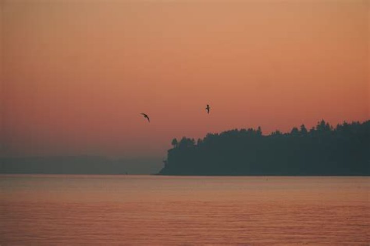 Year-Round Weather in Tacoma WA: A Comprehensive Guide for Residents and Visitors